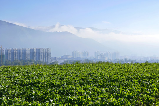 岷州晨曦