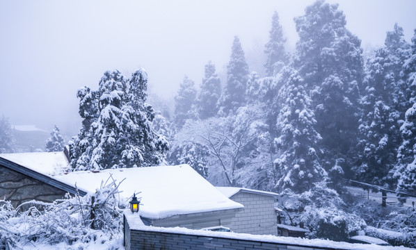 雪中一孤灯