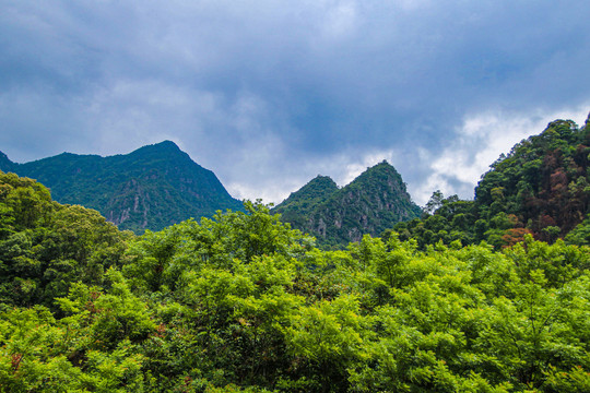 广东始兴铜钟寨天柱峰