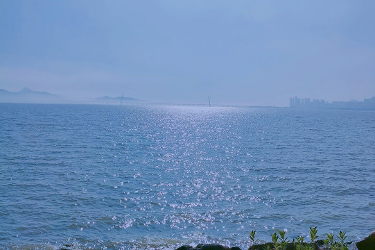 晴天大海