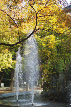 山东大学趵突泉校区喷泉