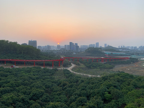 深圳虹桥公园落日