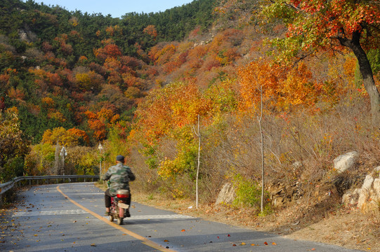 秋天的山间公路