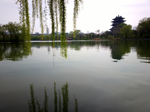 大名湖风景