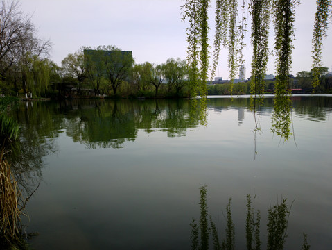 大名湖风景