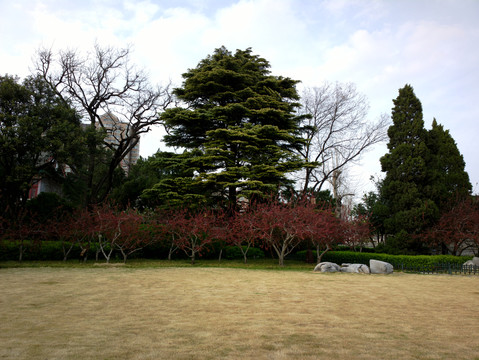 大明湖公园