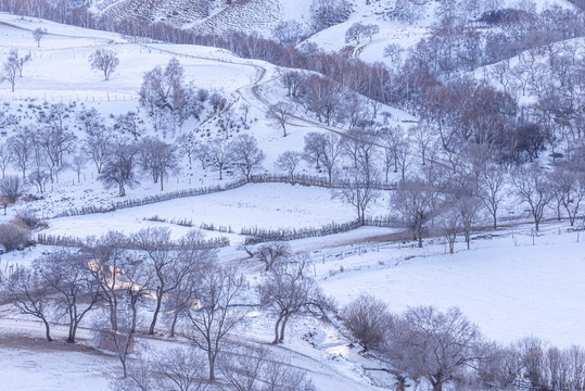 冬天坝上草原雪景