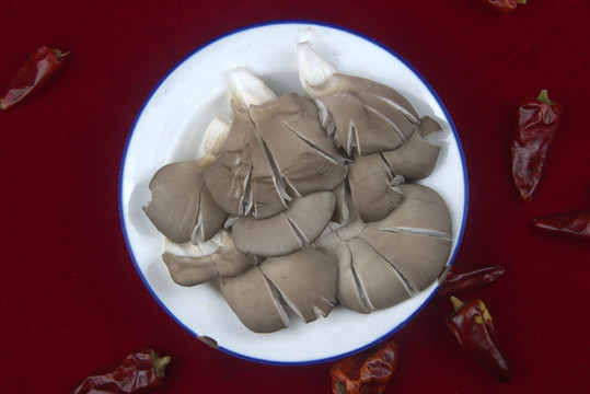 平菇蘑菇火锅配菜涮菜菜品