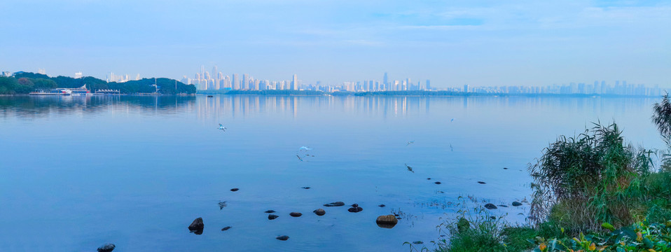 湖上飞鸟