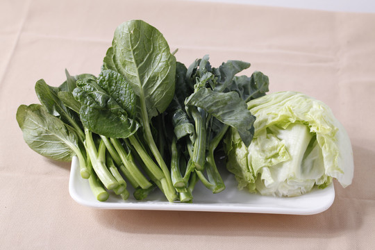 时令蔬菜