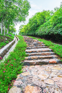 城市公园景观设计路桥植物