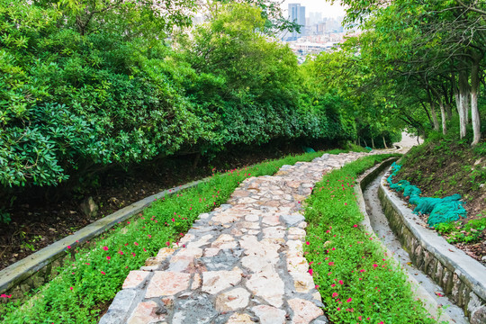 城市公园景观设计路桥植物