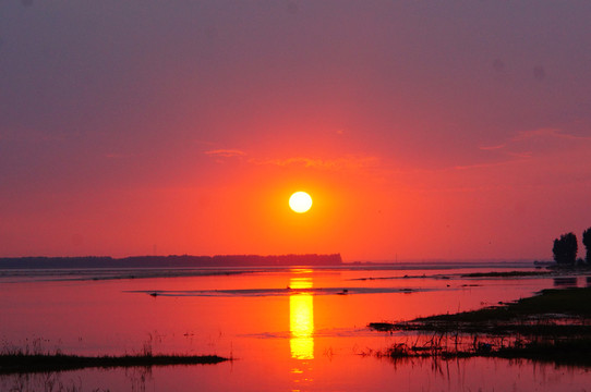 黄河湿地落日