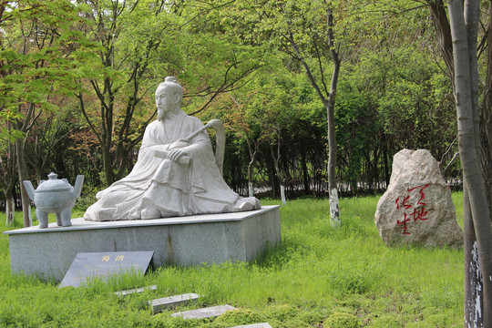 中国药科大学药用植物园