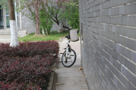 自行车