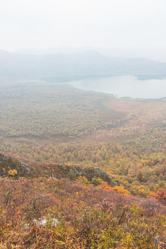 秋季森林火山堰塞湖