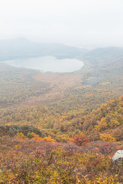 秋季森林火山堰塞湖