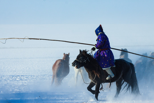 雪原冬季蒙古族套马