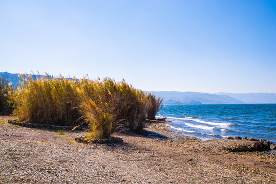 高原湖岸