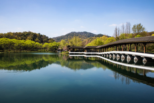 杭州西湖浴鹄湾