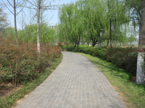 蜿蜒的小路