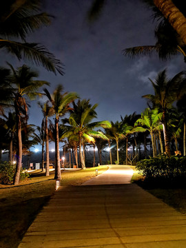 三亚风景夜晚海边椰子林小路