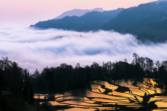 元阳梯田