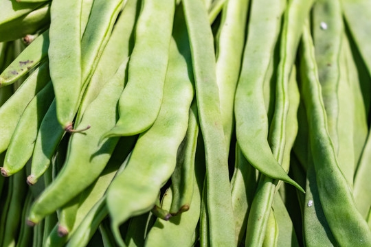 菜市场一堆四季豆蔬菜