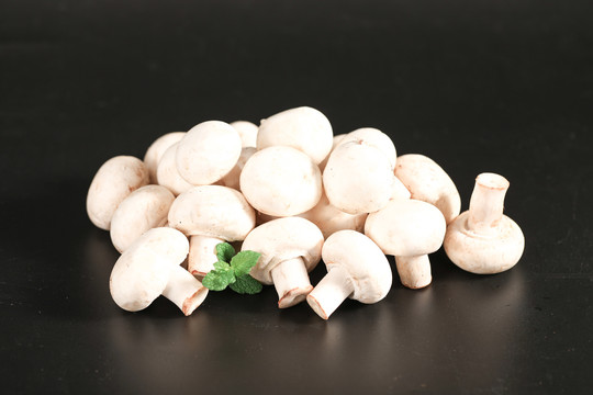 新鲜白蘑菇