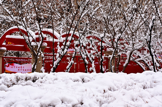 春雪