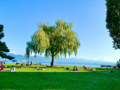 夏季欧洲海滩草坪风光美景