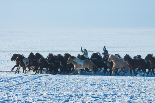 冬季雪原马群蒙古族套马