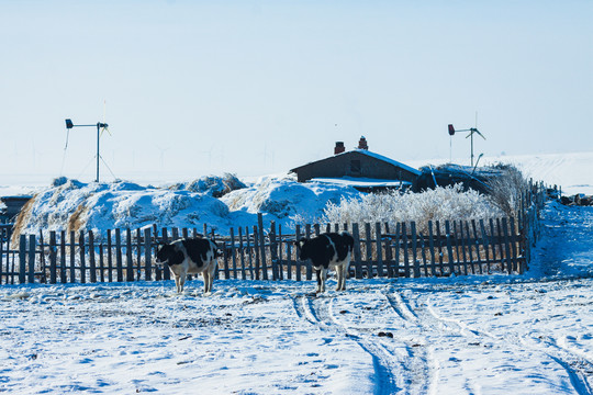 冬季乡村牧民家园