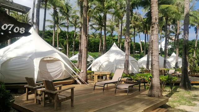 椰子林中搭建露营帐篷