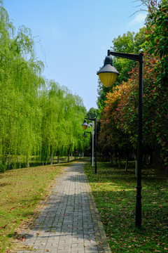 园林景观路