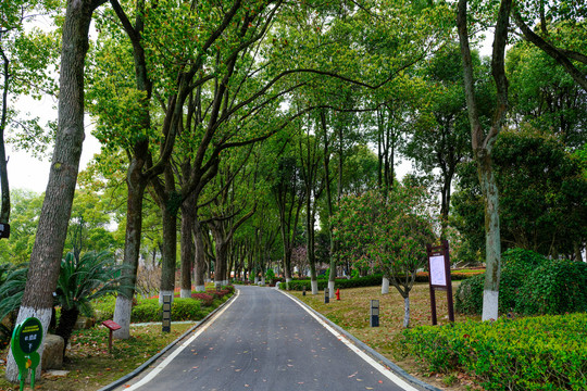 园林景观公路
