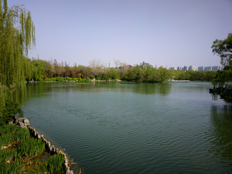 大明湖风景
