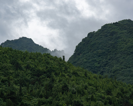 天子峪