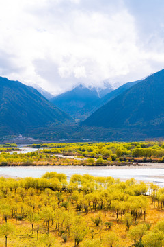 尼洋河青山绿水雪山河水草甸