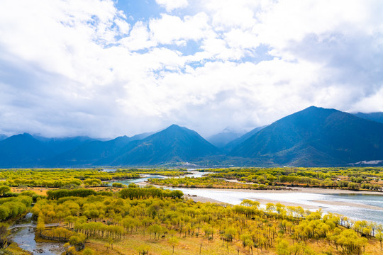 西藏林芝雅尼湿地公园全景图