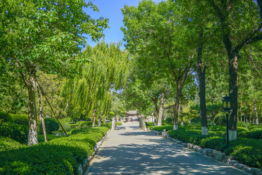 公园步道小路树林小路园林景观