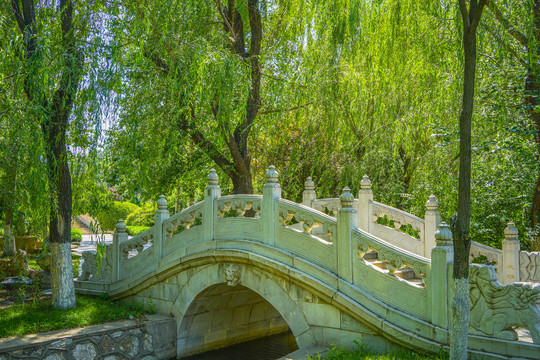 古典园林景观石拱桥绿树林