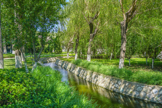 绿树林小河景观园林水景引水渠