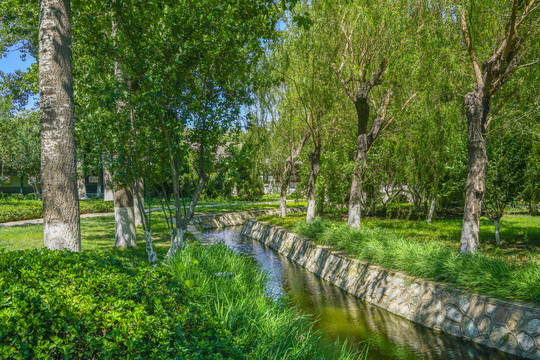绿树林小河景观园林水景引水渠