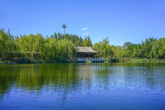 天津北宁公园古典园林园林水景