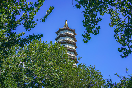 天津城市风光古建宝塔