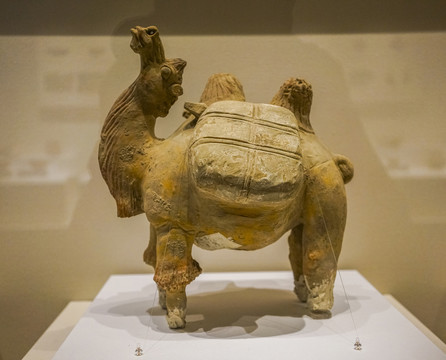 唐代红陶骆驼俑唐代陶器