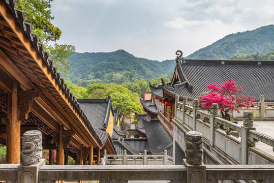 杭州法喜寺