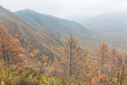 秋季山峦森林晨雾