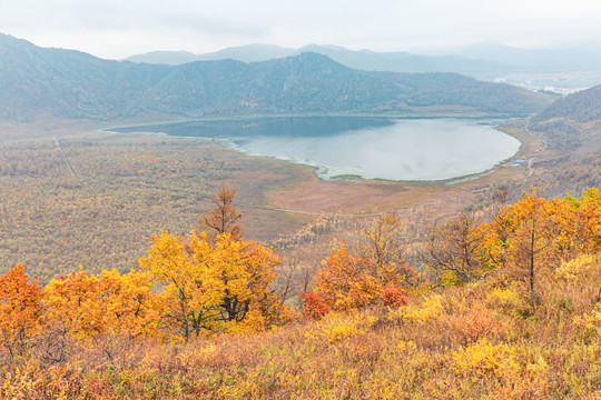 秋季金色森林湖泊